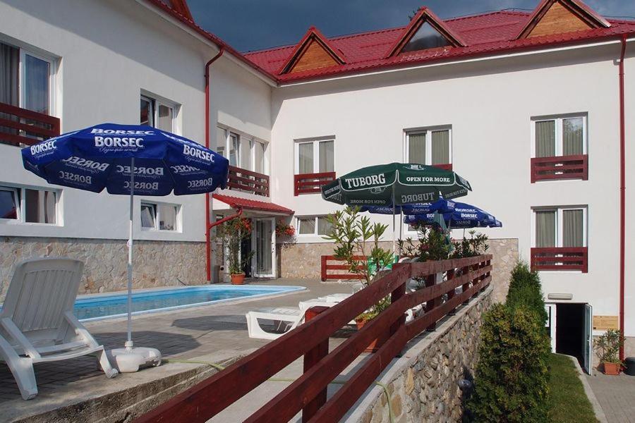 Hotel Domnitei Calimanesti Exterior foto